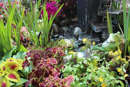 彩运网(中国游)官方网站