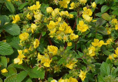 彩运网(中国游)官方网站