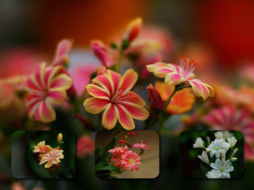 彩运网(中国游)官方网站