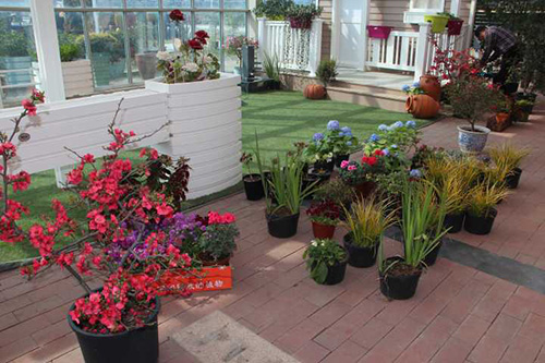 彩运网(中国游)官方网站