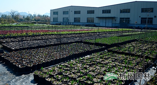 彩运网(中国游)官方网站