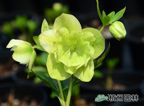 彩运网(中国游)官方网站