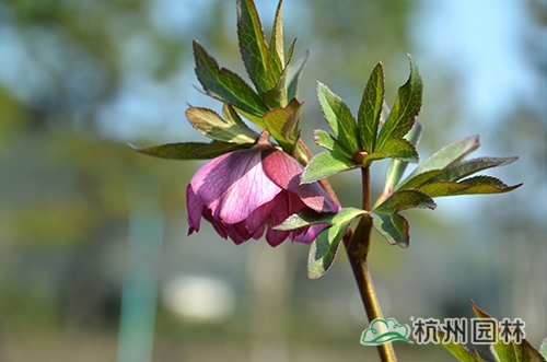 彩运网(中国游)官方网站