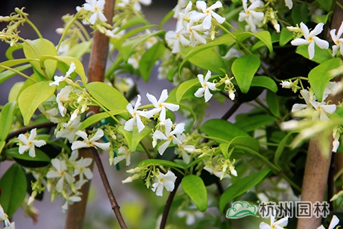 彩运网(中国游)官方网站