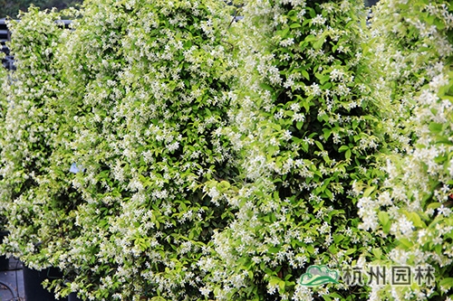 彩运网(中国游)官方网站