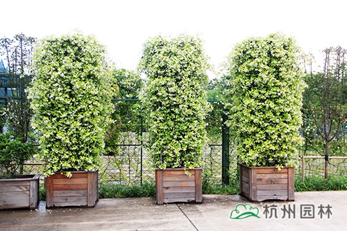 彩运网(中国游)官方网站