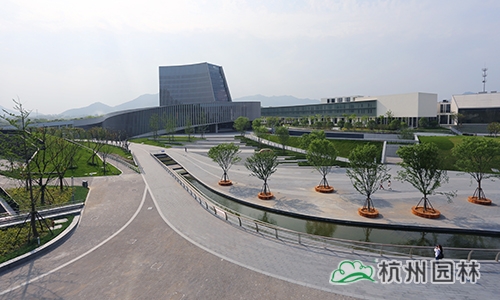 彩运网(中国游)官方网站