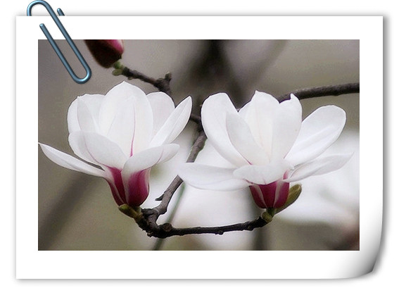 彩运网(中国游)官方网站