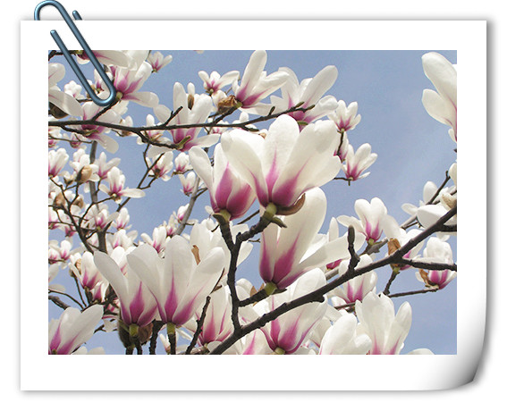 彩运网(中国游)官方网站