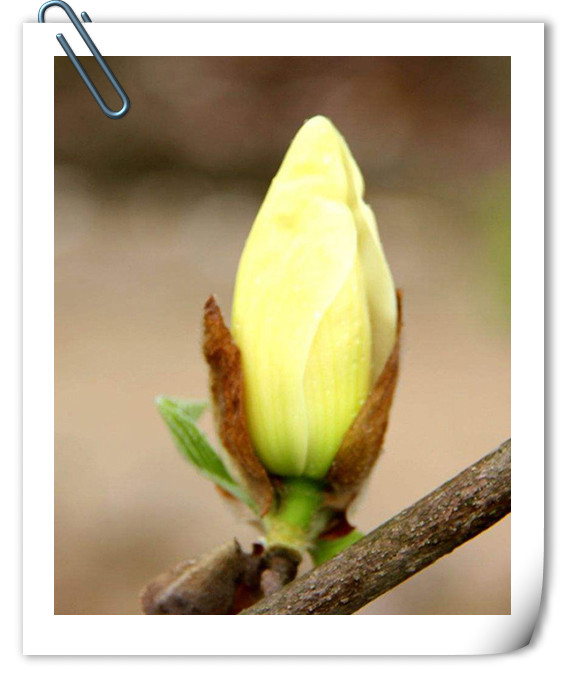 彩运网(中国游)官方网站