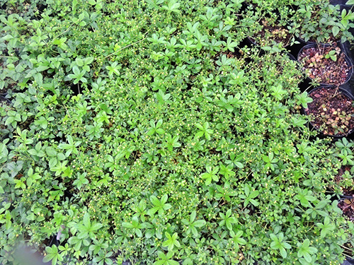 彩运网(中国游)官方网站