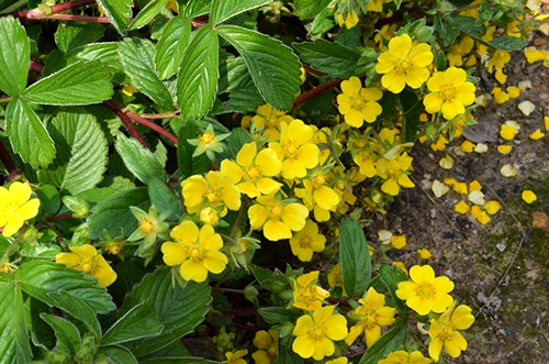 彩运网(中国游)官方网站