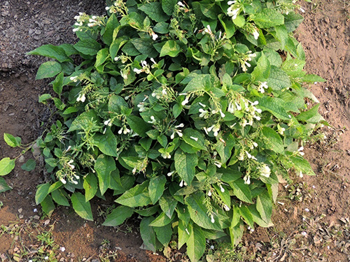 彩运网(中国游)官方网站