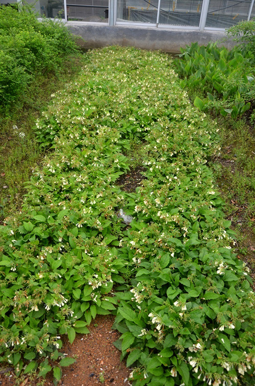 彩运网(中国游)官方网站