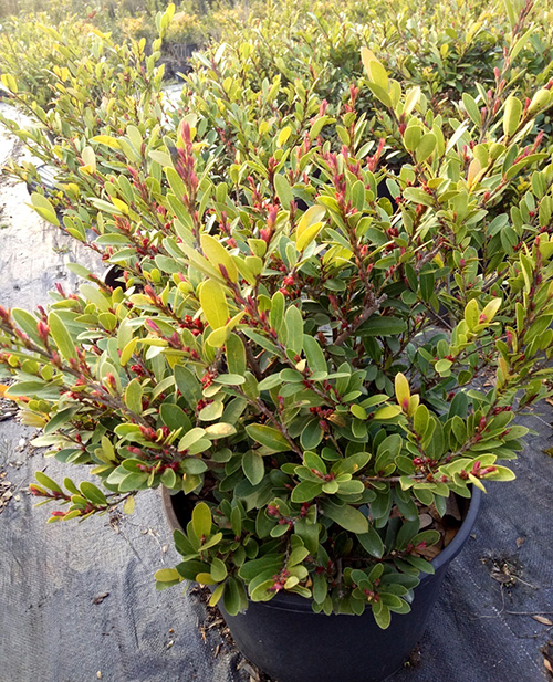 彩运网(中国游)官方网站