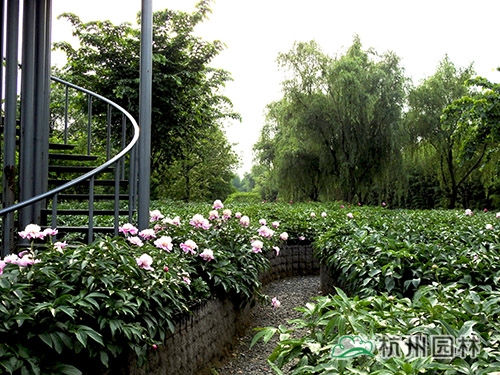 彩运网(中国游)官方网站