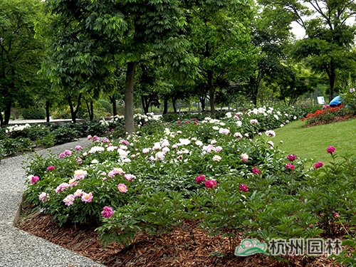 彩运网(中国游)官方网站