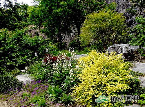 彩运网(中国游)官方网站