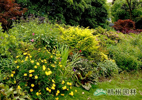 彩运网(中国游)官方网站