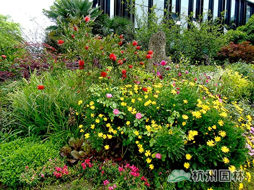 彩运网(中国游)官方网站