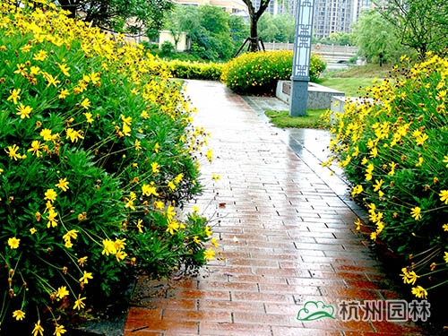 彩运网(中国游)官方网站