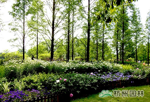 彩运网(中国游)官方网站