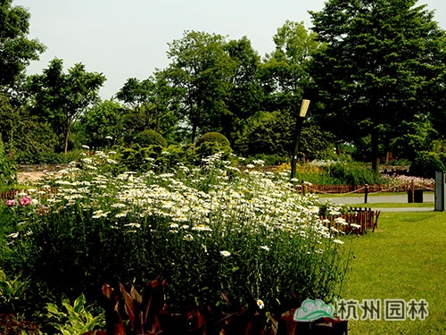 彩运网(中国游)官方网站