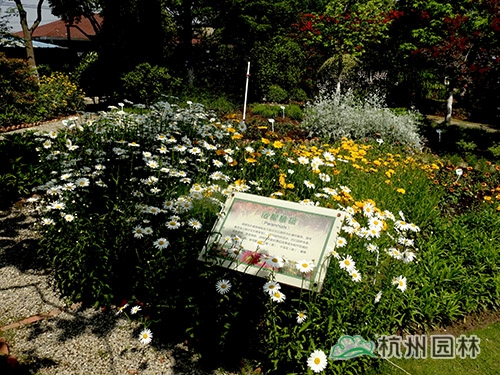 彩运网(中国游)官方网站