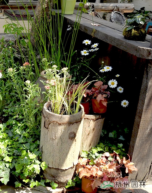 彩运网(中国游)官方网站