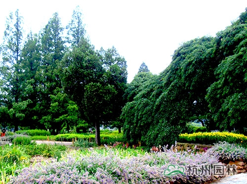 彩运网(中国游)官方网站