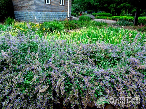 彩运网(中国游)官方网站