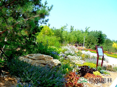 彩运网(中国游)官方网站