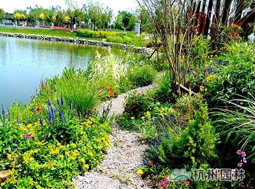 彩运网(中国游)官方网站