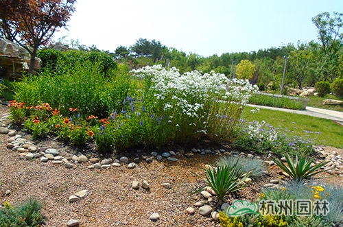 彩运网(中国游)官方网站