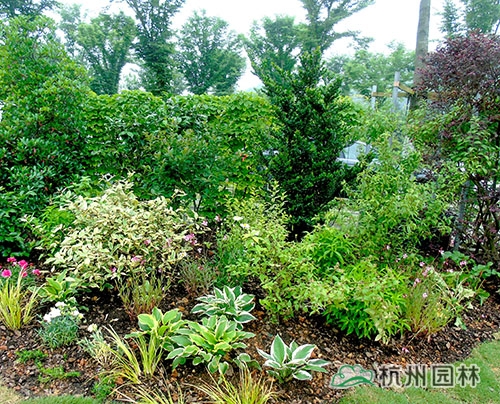 彩运网(中国游)官方网站