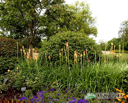 彩运网(中国游)官方网站