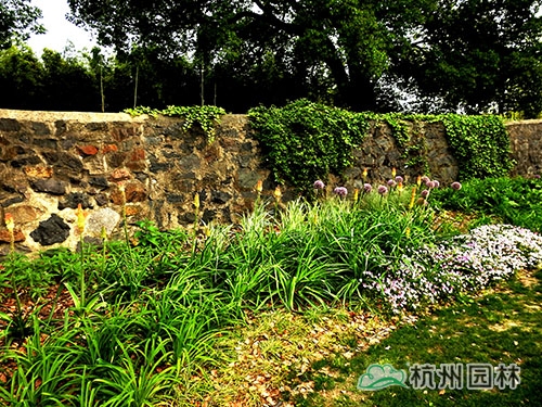 彩运网(中国游)官方网站