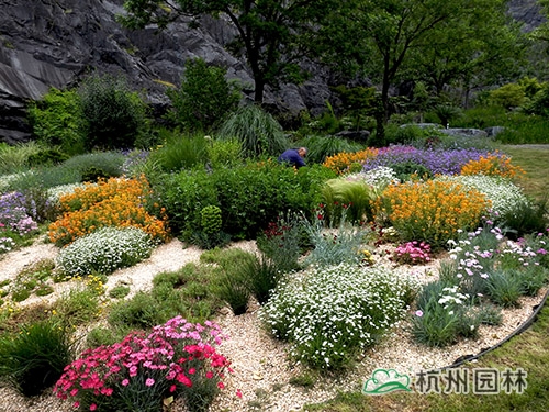 彩运网(中国游)官方网站