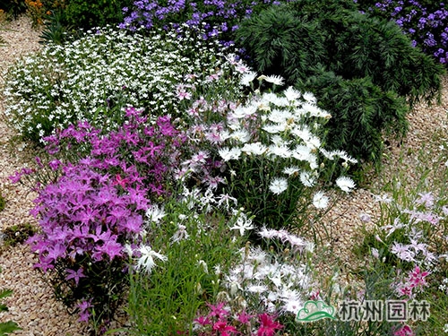 彩运网(中国游)官方网站