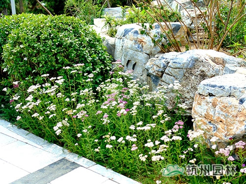 彩运网(中国游)官方网站