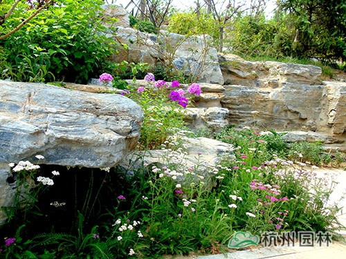 彩运网(中国游)官方网站