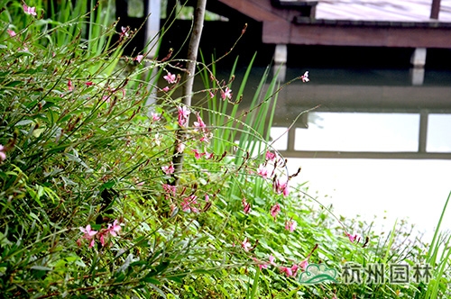 彩运网(中国游)官方网站