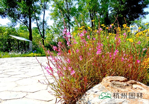 彩运网(中国游)官方网站