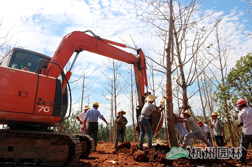 彩运网(中国游)官方网站