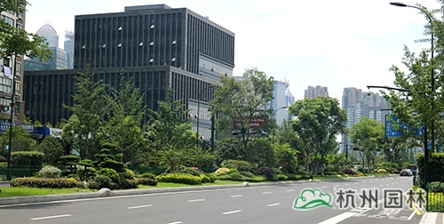 彩运网(中国游)官方网站