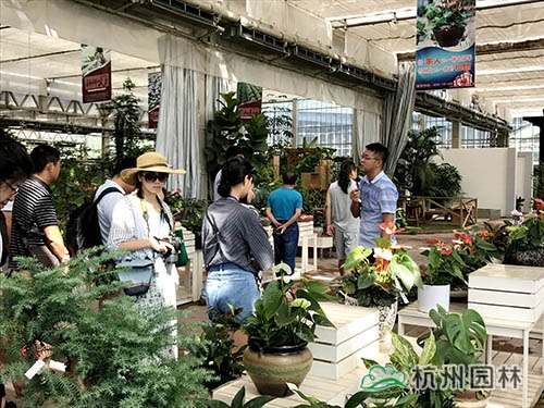 彩运网(中国游)官方网站