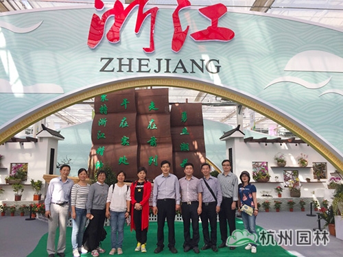 彩运网(中国游)官方网站