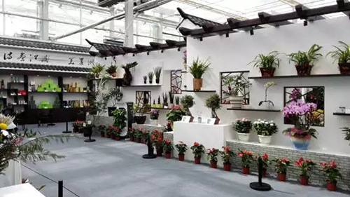 彩运网(中国游)官方网站