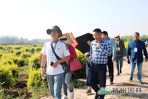 彩运网(中国游)官方网站