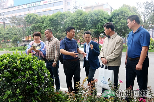 彩运网(中国游)官方网站